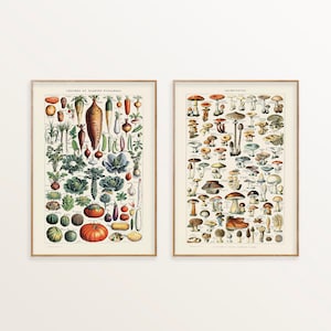 Set van 2 vintage keukenmuurkunst, prints van champignons en groenten, Adolphe Millot, schip uit VK/VS/EU/Aus, ingelijst of niet ingelijst
