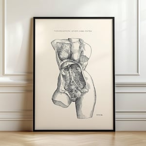 Puede incluir: Ilustración anatómica en blanco y negro del torso humano, que muestra los órganos internos. La imagen está titulada "FIGVRAMAGINA QVINTI LIBRI FIGVRA."