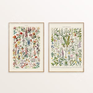 Set di 2 stampe murali vintage botaniche, set di stampe botaniche floreali, Adolphe Millot, spedizione da Regno Unito/USA/UE/Australia, con o senza cornice