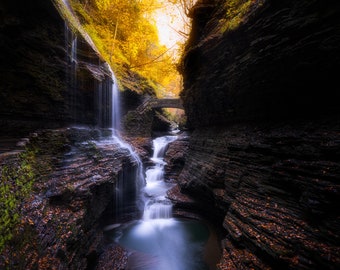 Watkins Glen 1