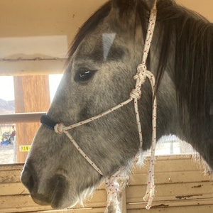 Hand Tied Horse Rope Halters