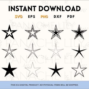 May include: A set of 12 black and white star shapes. The stars are in various styles, including filled in, outlined, and with a double outline. The stars are arranged in three rows of four.