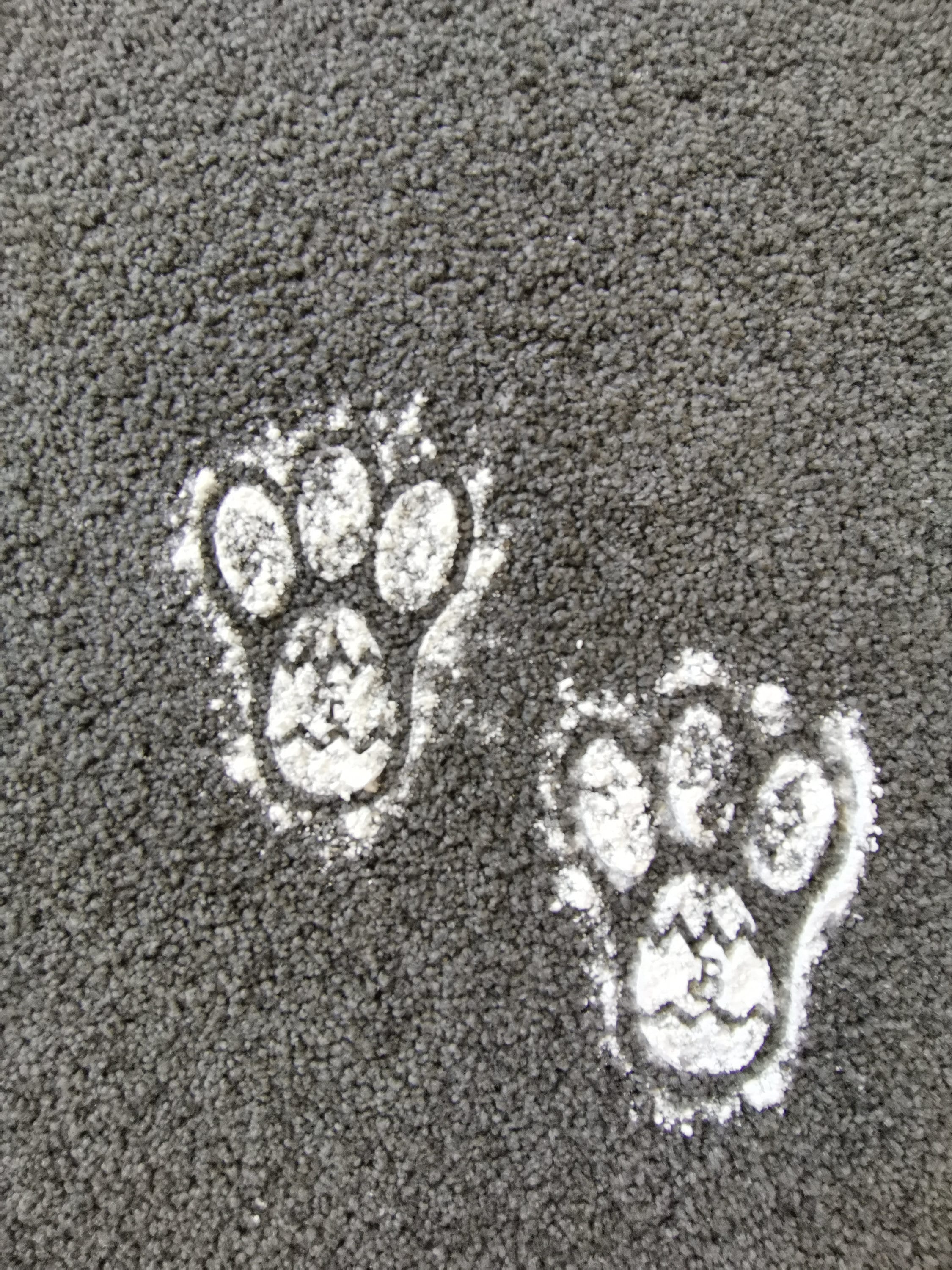 Easter Bunny Footprint Stencil / Laser Cut File / Cdr / Svg / - Etsy