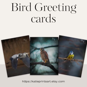 Set aus 6 Grußkarten mit Vogelmotiv