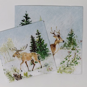 Decoupage Napkins,Set of 2, Decoupage Supplies, Scrapbooking supplies, Paper serviettes, Paper napkins for decoupage, Paper craft