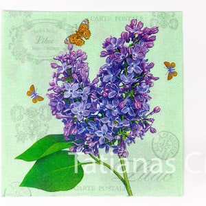 Conjunto de 2 guardanapos para decoupage - Suprimentos para scrapbooking e artesanato em papel