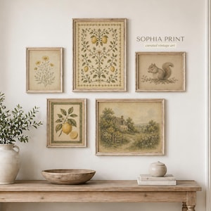 Op de afbeelding: Een rustieke houten console met een gevlochten mand, een keramische pot en een grote witte vaas met groen. Boven de tafel hangen ingelijste vintage prints met botanische en landschapsthema's. De wandkunst omvat eekhoorn- en citroenillustraties. De tekst "SOPHIA PRINT" is zichtbaar.