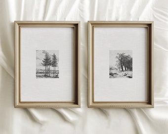 Set di stampe per acqueforti vintage / Arte dello schizzo di un albero / Disegno della foresta / STAMPE ARTISTICHE SPEDITE #9