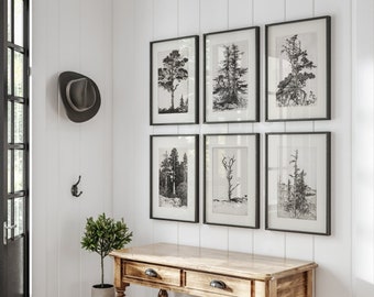 Trees Etching Set of 6, Vintage Drawing, Antique Sketch, Gallery Wall Art, Trees Drawings Set, Rustic Sketch, Botanical Art