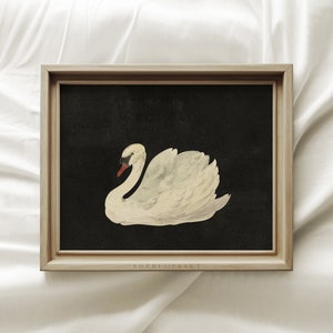 Black Swan Art Print, Vintage Nursery Prints, Vintage Swan Drawing Wall Art, Farmhouse Wall Decor, Housewarming Gift #21