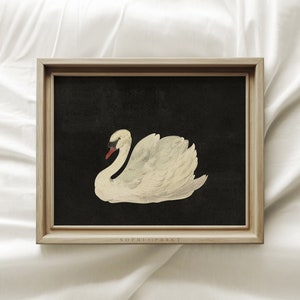 Black Swan Art Print, Vintage Nursery Prints, Vintage Swan Drawing Wall Art, Farmhouse Wall Decor, Housewarming Gift 21 image 1