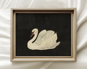 Black Swan Art Print, Vintage Nursery Prints, Vintage Swan Drawing Wall Art, Farmhouse Wall Decor, Housewarming Gift #21