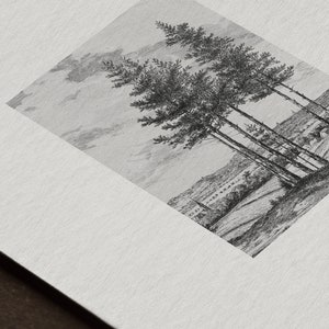 Vintage Etching Print Set Tree Sketch Art Forest Drawing MAILED ART PRINTS 9 image 5