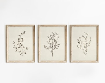 Botanical Set of 3, Flowers Art Print, Floral Painting Print, Blossom Art Print, Flower Art Set, Home Decor, Botanical Art Print #965