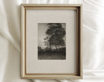 Vintage drzewo węgiel rysunek Print, ciemny nastrojowy las, szkic krajobrazu, antyczne rustykalne ściany sztuki, wysłane wydruki artystyczne #24