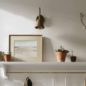 May include: A white shelf with a brass light fixture, a framed picture, three potted plants, a vase with a branch of white flowers, and a brass rod with hooks hanging from it.