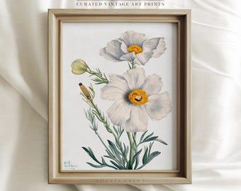 White Flower Painting Print, Floral Art Print, Botanical Art Print, Grand White Floral Painting Art Print #765