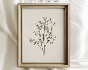Rural Lifestyle Print, Floral Art Print, Blossom Wall Painting, Flower Art Painting, Botanical Wall Art Print #449