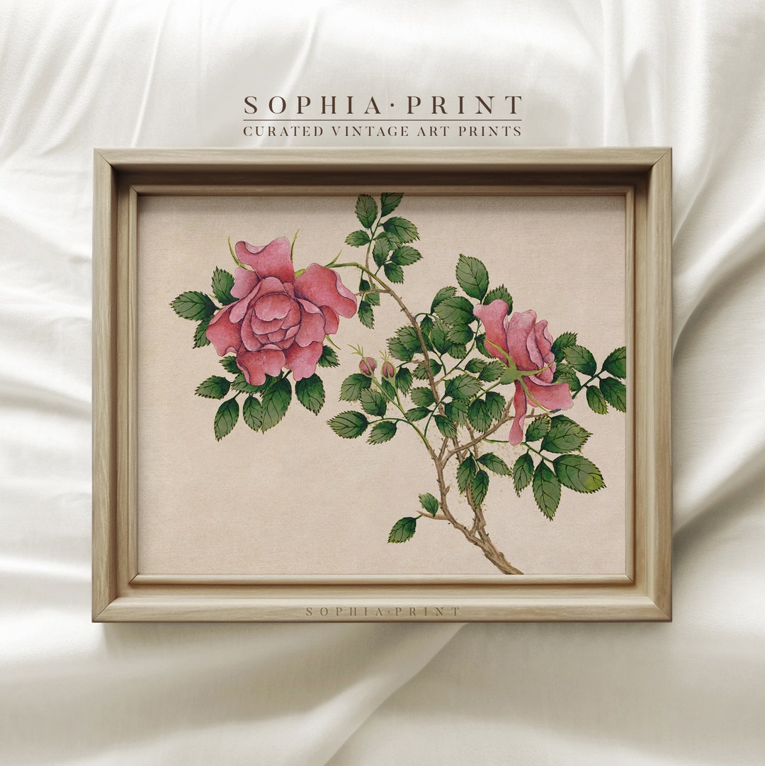 Vintage Flower Prints, Pink Flower Prints, Cottage Wall Art, Sill Life ...