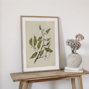 May include: A framed botanical print featuring a watercolor illustration of a flowering branch with white blossoms and green leaves. The artwork is displayed on a wooden table, alongside a vase with dried flowers and a stack of books.