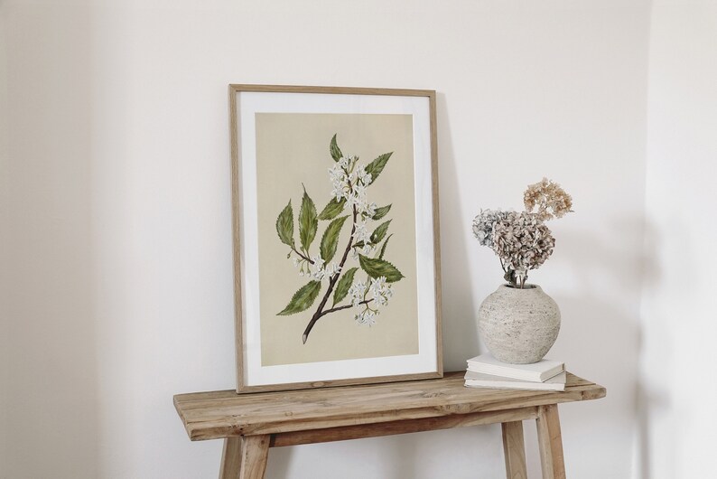 May include: A framed botanical print featuring a watercolor illustration of a flowering branch with white blossoms and green leaves. The artwork is displayed on a wooden table, alongside a vase with dried flowers and a stack of books.