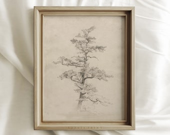 Vintage PRINTED Art, Rustic Tree Sketch, Botanical Drawing, Neutral Wall Prints, French Country Print, Antique Wall Art, Farmhouse Decor #27