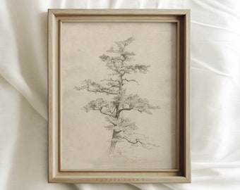 Arte IMPRESO vintage, boceto de árbol rústico, dibujo botánico, impresiones de pared neutrales, impresión de campo francés, arte de pared antiguo, decoración de granja #27