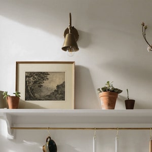 May include: A white shelf with a brass rail and hooks hangs on a white wall. A framed black and white print of a landscape hangs on the shelf. There are three small potted plants on the shelf, and a brass wall sconce with a light bulb is mounted on the wall above the shelf. A vase with a branch of white flowers is on the shelf.