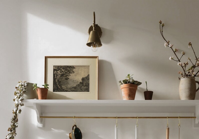 May include: A white shelf with a brass rail and hooks hangs on a white wall. A framed black and white print of a landscape hangs on the shelf. There are three small potted plants on the shelf, and a brass wall sconce with a light bulb is mounted on the wall above the shelf. A vase with a branch of white flowers is on the shelf.