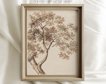 May include: A framed print of a vintage botanical illustration of a tree with brown branches and leaves on a beige background. The print is titled "Sophia Print" and features the text "Curated Vintage Art Prints".