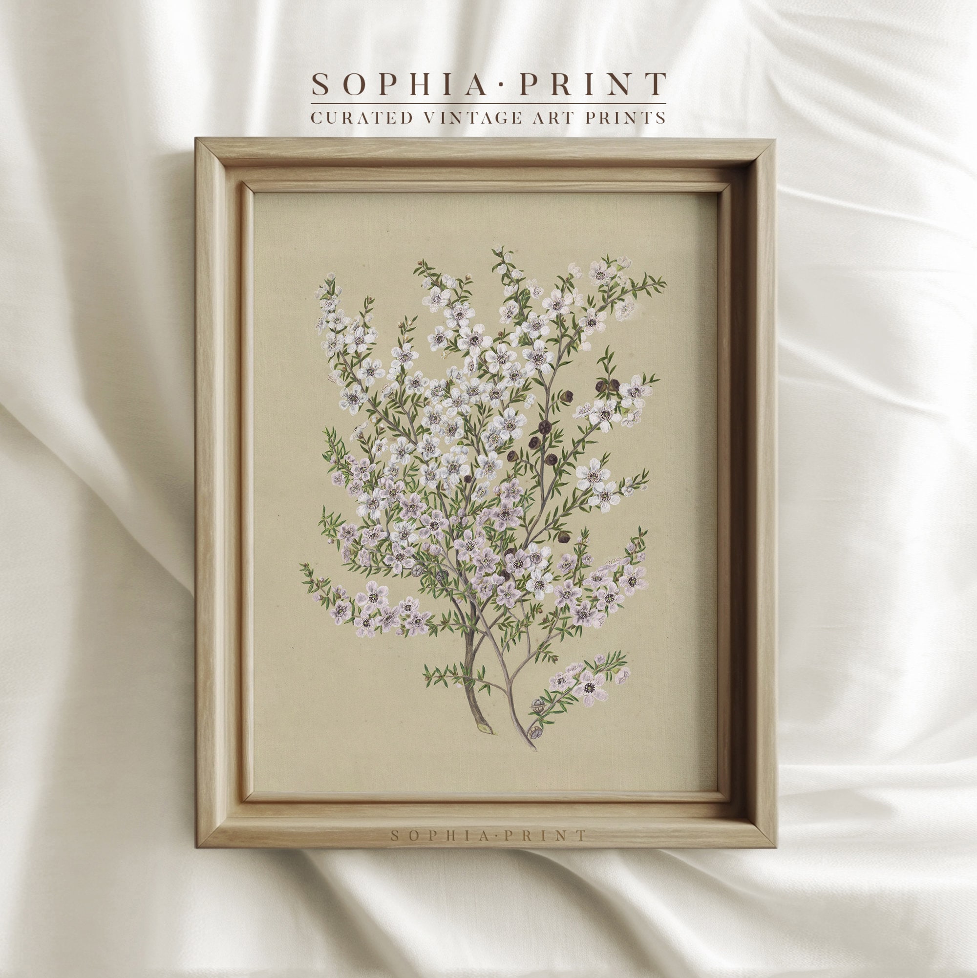 Kathryn white - Etsy 日本
