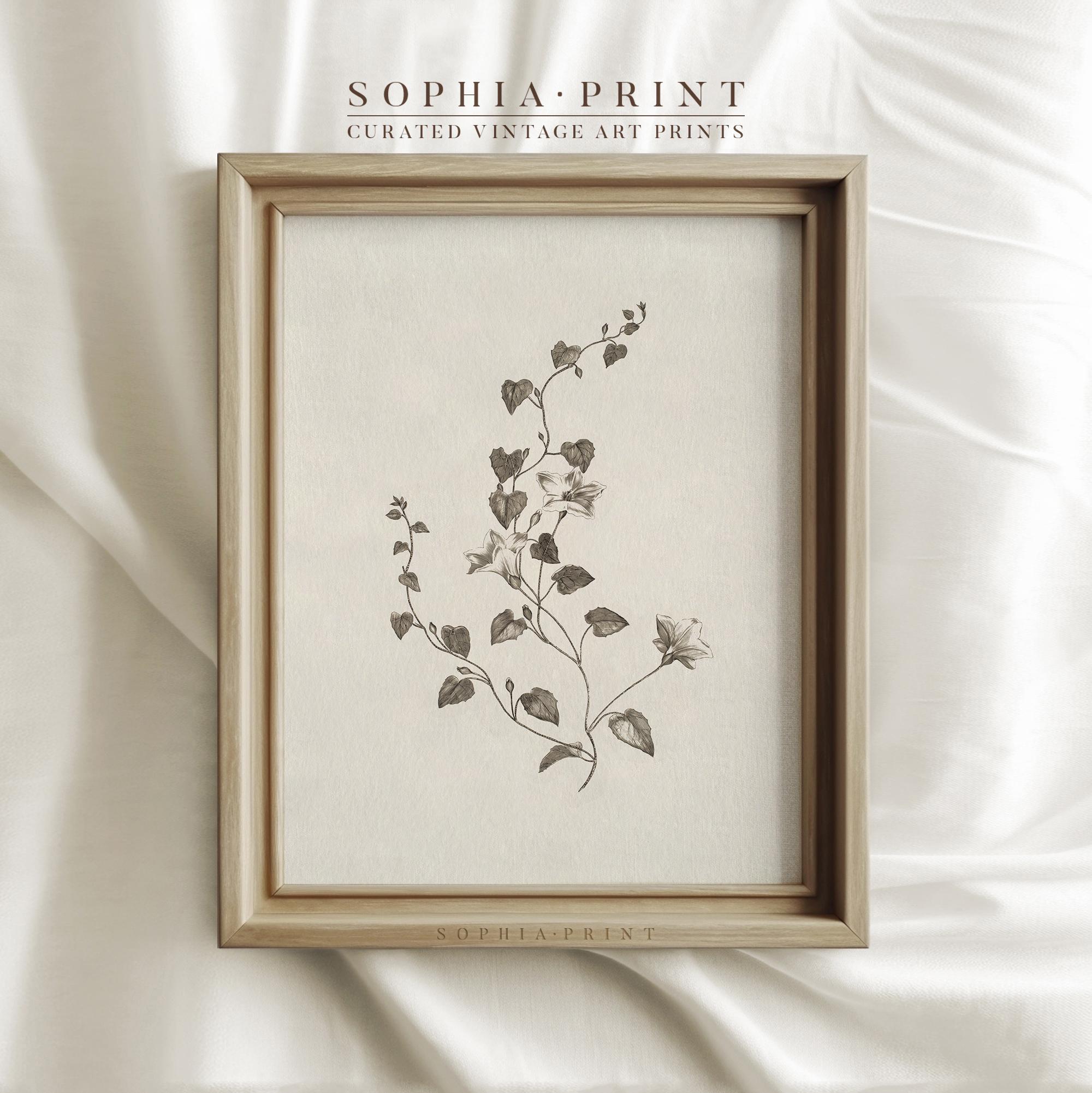 Botanical Set of 3, Vintage Floral Prints, Cottagecore Wall Decor #965 ...