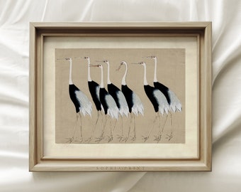 Seven Stork, Black And White Stork, Mailed Print, Innocent Cat, Vintage Art Print, Sophia Print, Shipped Print #288