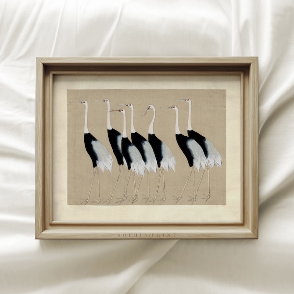 Seven Stork, Black And White Stork, Mailed Print, Innocent Cat, Vintage Art Print, Sophia Print, Shipped Print #288