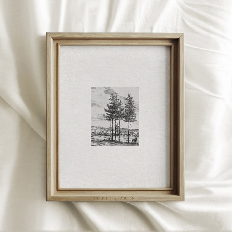 Vintage Etching Print Set Tree Sketch Art Forest Drawing MAILED ART PRINTS 9 image 6