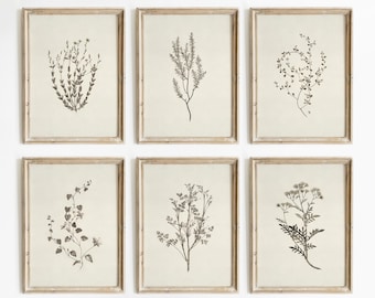 Botanical Set of 6, Flowers Set Print, Floral Art Print, Blossom Painting Art Print, Botanical Art Print #958