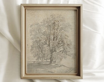 Vintage Tree Drawing Print, Neutral Rustic Sketch Art Print, Farmhouse Wall Decor, MAILED ART PRINTS #28