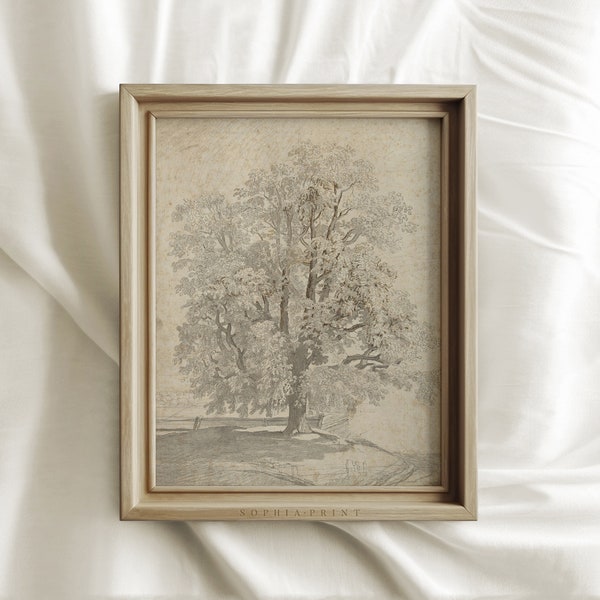 Vintage Tree Drawing Print, Neutral Rustic Sketch Art Print, Farmhouse Wall Decor, MAILED ART PRINTS #28