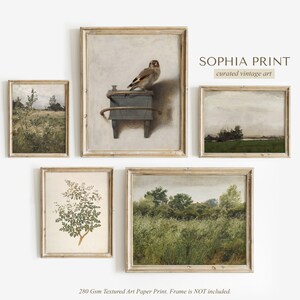 May include: Set of five framed vintage art prints featuring nature scenes. The prints are in a rustic style with muted colors and feature a bird, a field of flowers, and a forest scene. The text "SOPHIA PRINT curated vintage art" is at the top of the image.