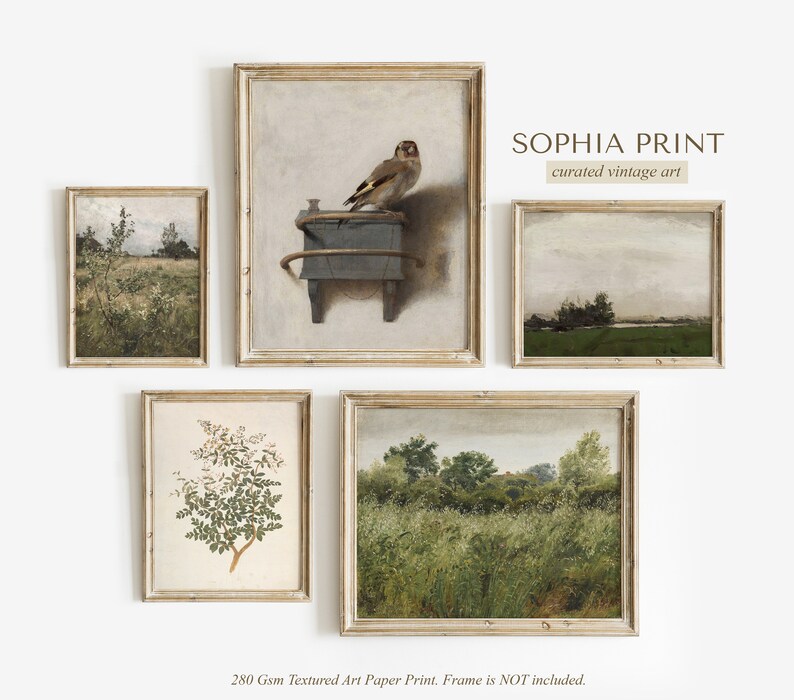 May include: Set of five framed vintage art prints featuring nature scenes. The prints are in a rustic style with muted colors and feature a bird, a field of flowers, and a forest scene. The text "SOPHIA PRINT curated vintage art" is at the top of the image.