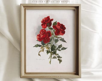 Stampa artistica di un dipinto di rose rosse, stampa artistica di fiori rossi, stampa artistica floreale, stampa artistica di un bouquet di rose, stampa artistica botanica #775