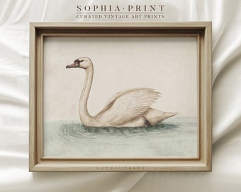 Vintage Nursery Art Print, Swan Painting, Animal Wall Art, Farmhouse Wall Decor, Kids Room Decor #376