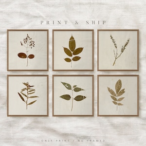 Gallery Wall Set, PRINTED Herbarium Set of 6, Dried Plants Print Set, Vintage Botanical Art, Dried Flowers Wall Art