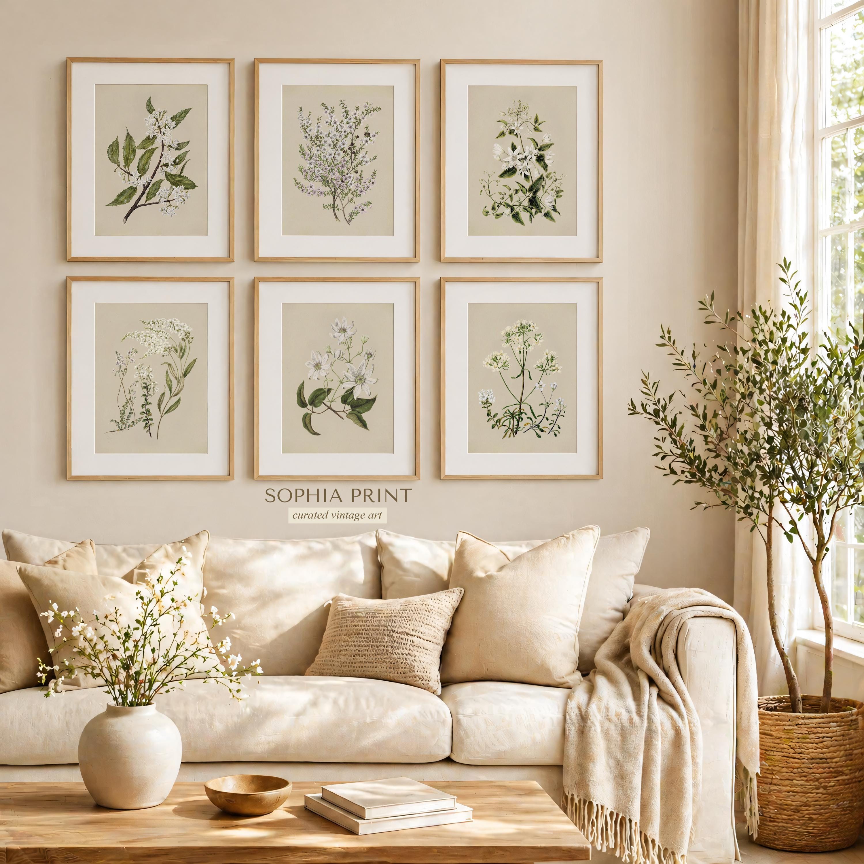 Vintage Botanical Gallery Wall Set of 6, White Flower Prints, Neutral ...