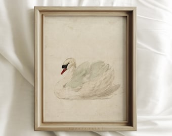 Vintage Swan Art Print, Farmhouse Wall Decor, Neutral Tone, Vintage Nursery Prints, Vintage Animal Drawing Wall Art, Housewarming Gift #2