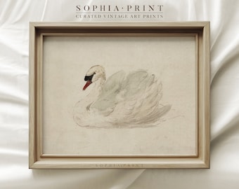 Vintage Swan Art Print, Neutral Tone, Beige Nursery Prints, Vintage Animal Drawing Wall Art, Farmhouse Wall Decor, Housewarming Gift #355