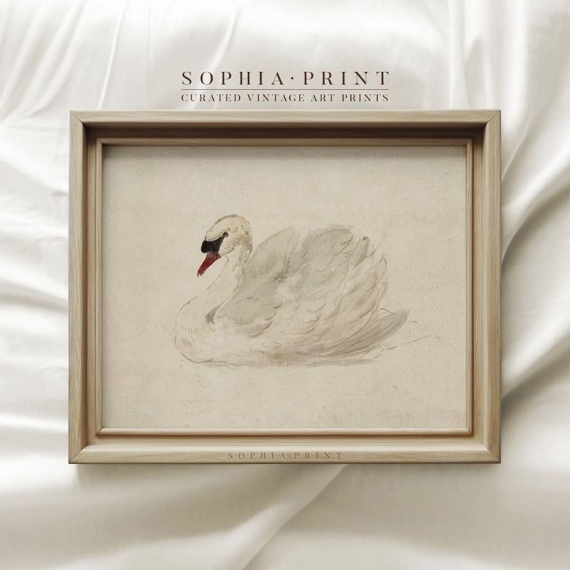 Swan Print - Etsy