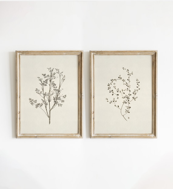Vintage Botanical Print SET of Two, Cottagecore Prints, Farmhouse Wall Decor, French Country Botanical Print, Floral Nursery Wall Art #631