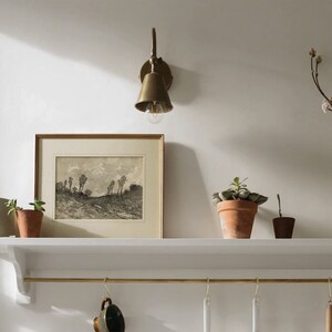 May include: A white shelf with a brass rail and hooks hangs on a white wall. A brass wall sconce with a bell-shaped shade illuminates a framed black and white print of a landscape. Three potted plants and a vase with a branch of white blossoms sit on the shelf.