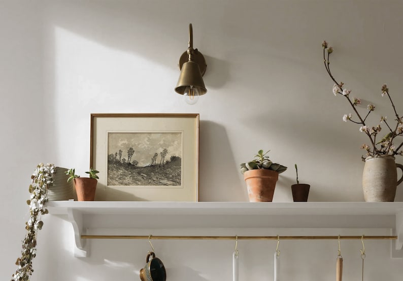 May include: A white shelf with a brass rail and hooks hangs on a white wall. A brass wall sconce with a bell-shaped shade illuminates a framed black and white print of a landscape. Three potted plants and a vase with a branch of white blossoms sit on the shelf.